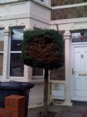 Brislington